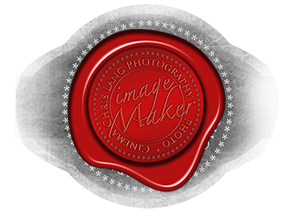 Stacks Image 1175879